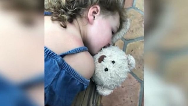 Family offers $500 reward for lost teddy bear
