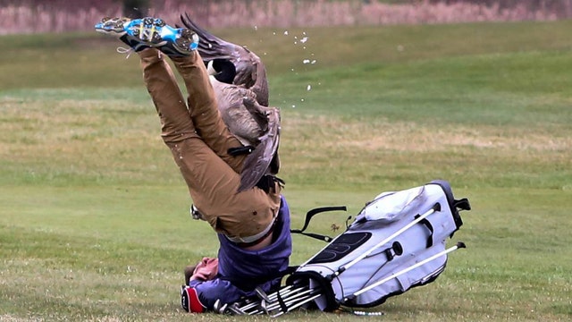 Goose attacks teen golfer during Michigan tournament