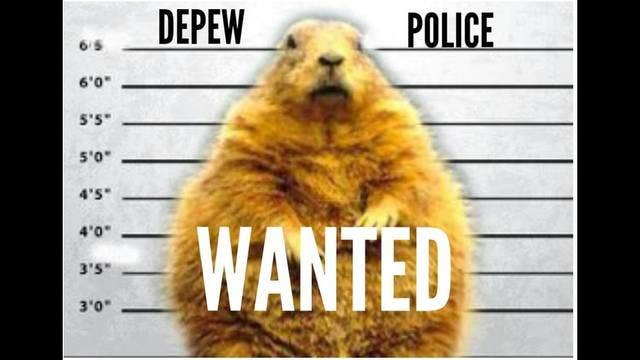 Police, fed up with lingering cold weather, 'arrests' winter