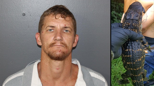 Florida man had baby alligator in front seat of his car, deputies say