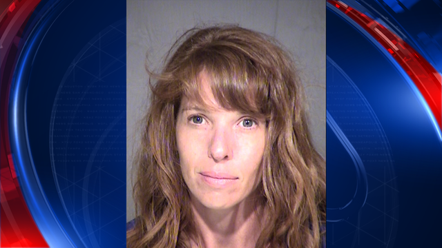 Stabbed Phoenix woman accused of breaking into home, via the doggy door
