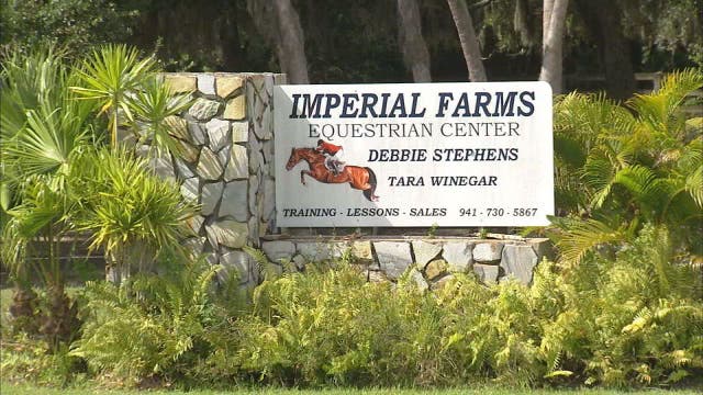 1,300-pound show horse slaughtered, butchered