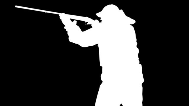 Dog shoots man: German court rules owner not fit for license