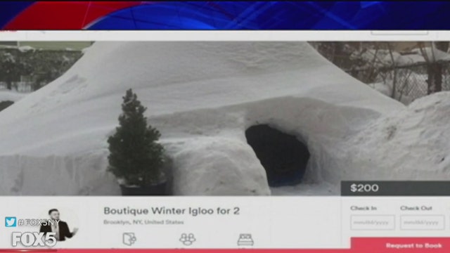 Brooklyn igloo listed on Airbnb