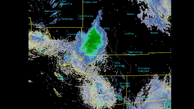 Swarm of ladybugs caught on National Weather Service radar