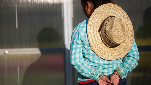 Immigration agents arrest 114 in landscaper sting
