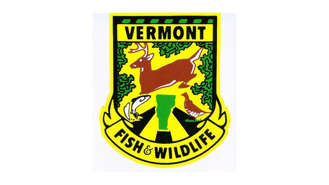 Vermont uses robotic deer to catch poachers