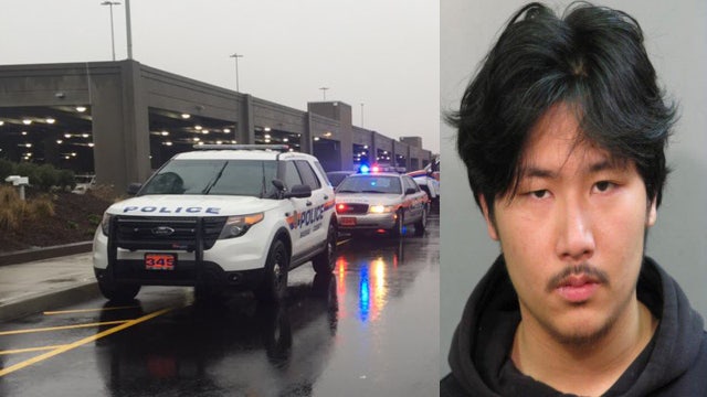 Suspect in Roosevelt Field Mall shooting arraigned