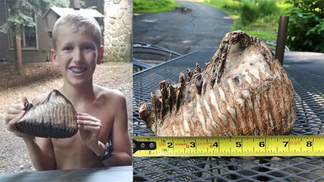 12-year-old boy discovers massive woolly mammoth tooth while attending family reunion in Ohio
