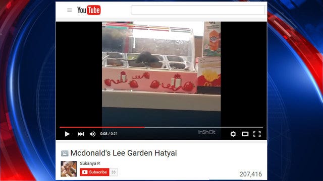 Meet 'McDonald's Rat,' the newest - and grossest - internet sensation
