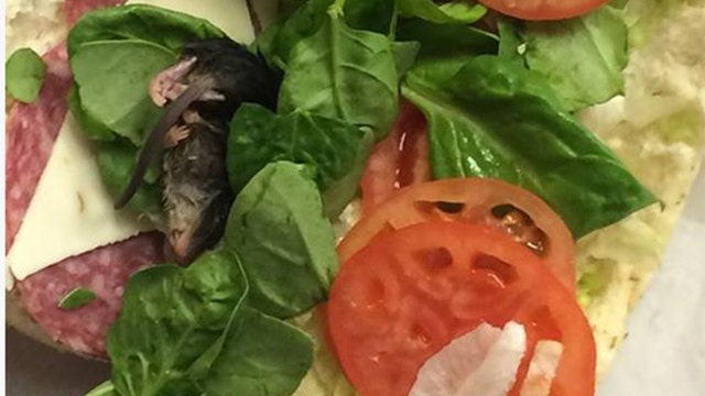 Dead mouse found in Subway sandwich