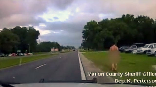 Naked man damaged patrol car, deputies say
