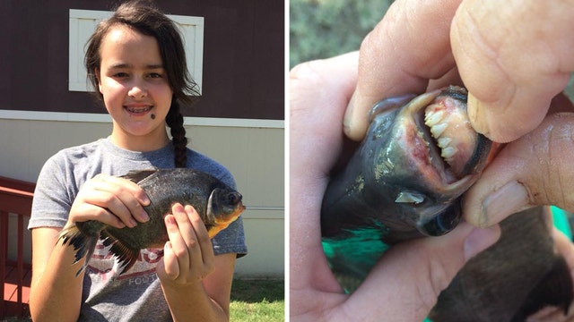 Girl catches fish with human-like teeth in Oklahoma lake