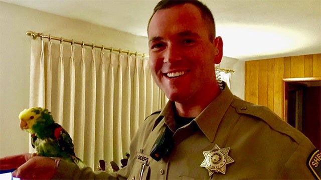 Parrot's screams of "Help!" draw 911 call