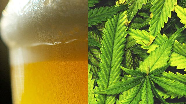 Marijuana-infused beers launching in Colorado