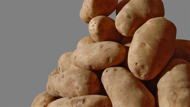 USDA to approve genetically engineered potato