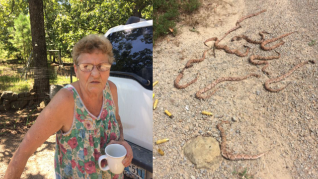 Elderly woman kills copperhead snakes with shotgun, shovel and rake handle