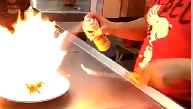 Mexico City restaurant busted over protected tarantula tacos