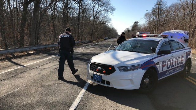 5 dead in crash; driver of stolen car arrested