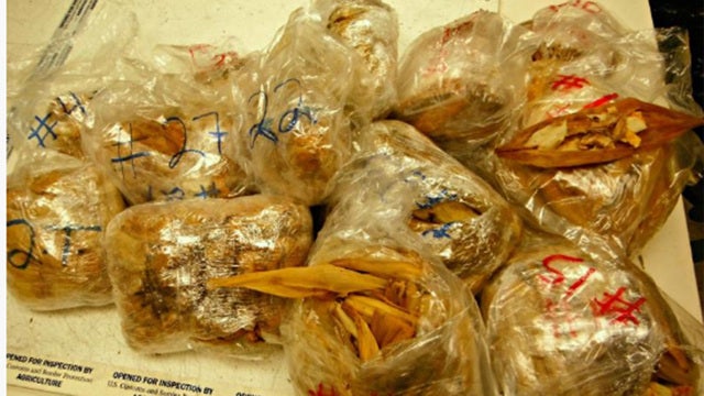 Homeland Security uncovers 'illegal tamales' at LAX