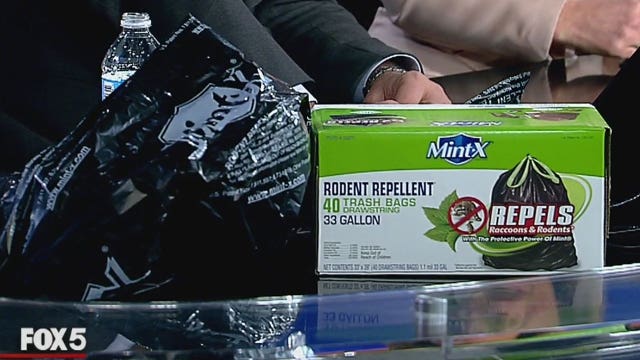 Investigation into rat bag contract with NYC