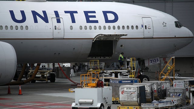 United Airlines will resume shipping pets, but with some breeds barred