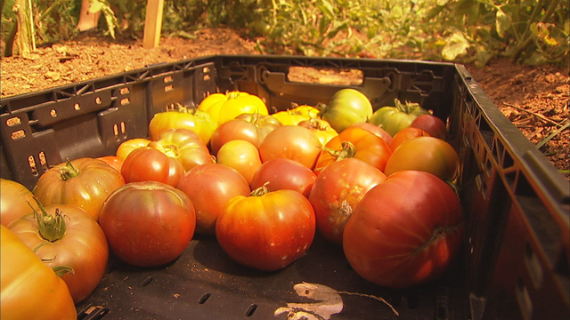 How to eat organic without spending more