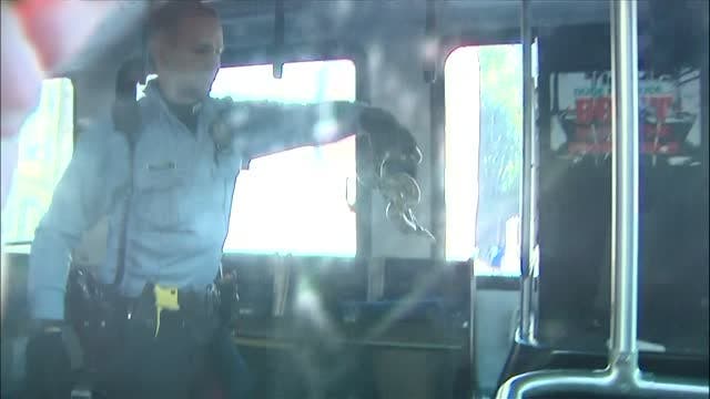 Bus evacuated over boa constrictor