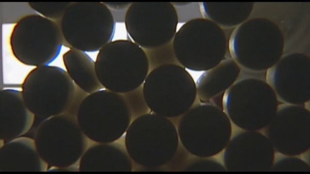 Drug resistance could kill 400,000 Canadians by 2050