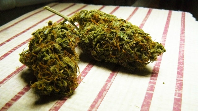 Woman called police over drug dealer's 'outrageous' marijuana price hike