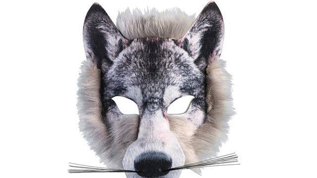 Police search for girl's rapist who wore wolf mask