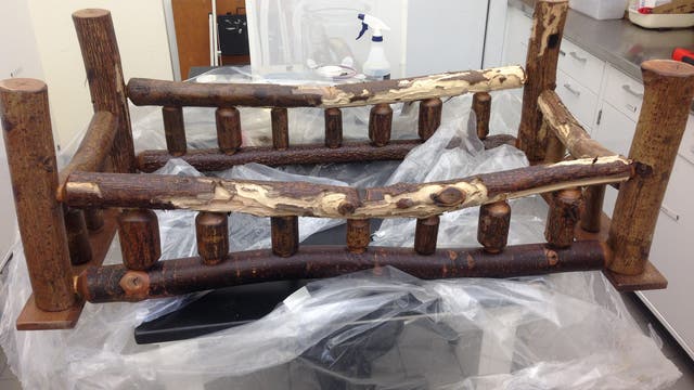 Do you have rustic log furniture? Check for bugs