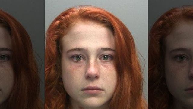 Teen obsessed with human sacrifice dressed as clown to stab lover during sex