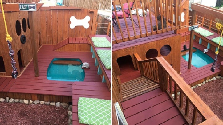 dog house with pool