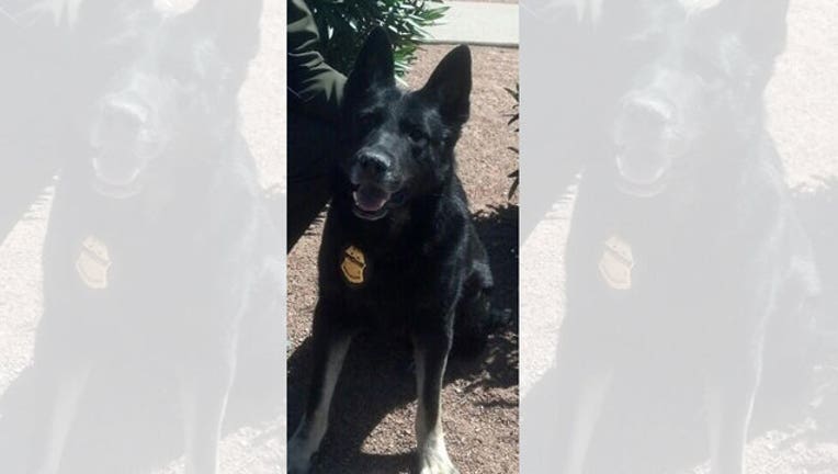 f3968173-BorderPatrolDogDone_1564601639117.jpg