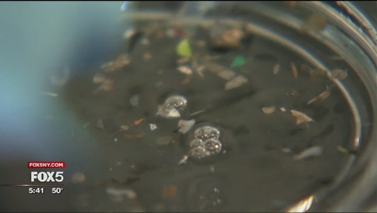 67e51c7e-Micro_plastics_in_our_waters_0_20181106002739