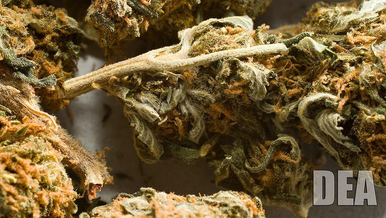 Dried marijuana
