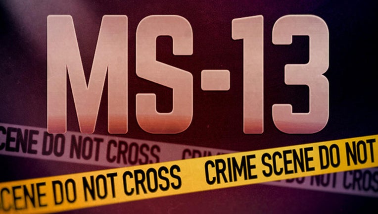 MS-13