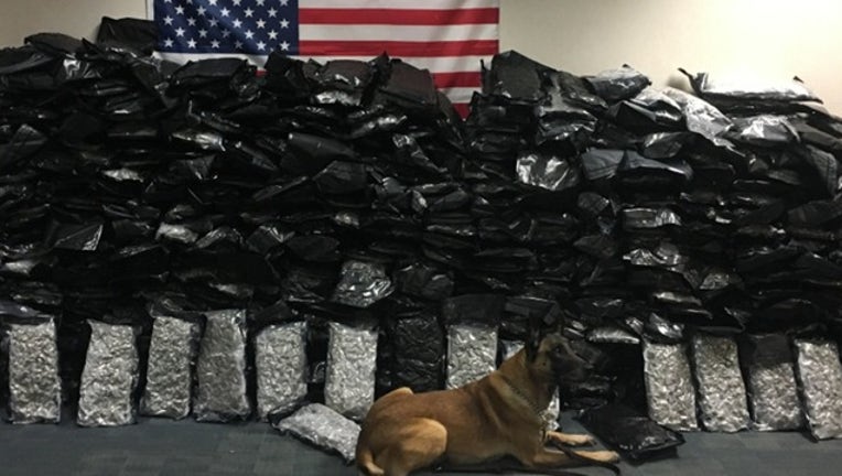 71d90114-pot bust_1568978253385.png-402429.jpg