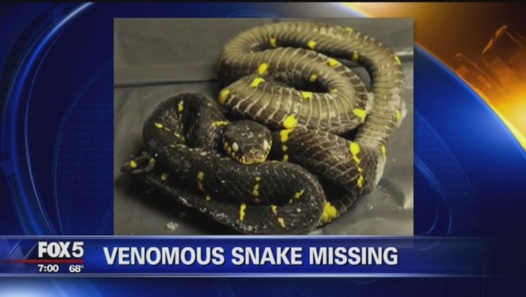 snake escape bronx zoo
