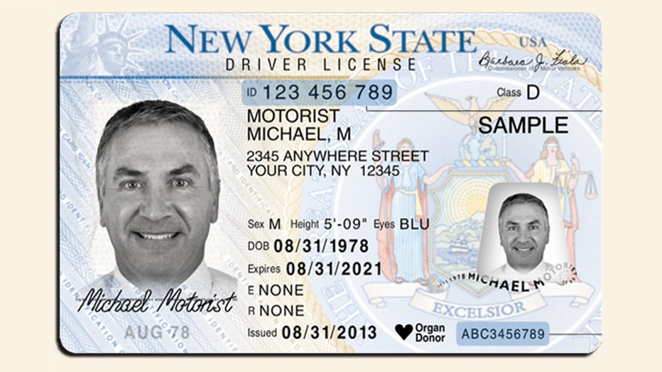 fake ny drivers license template