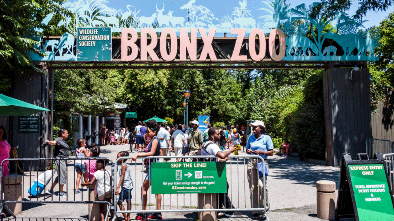 Retail Sales Bronx Zoo