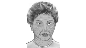 Woman tried to lure girl into car on Long Island