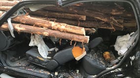 Driver miraculously survives after his vehicle is impaled by logs from truck