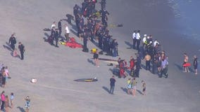 Search resumes for missing swimmers off of the Rockaways