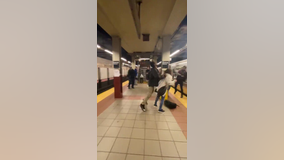 NYPD: Serial subway offender arrested for shoving woman into subway car