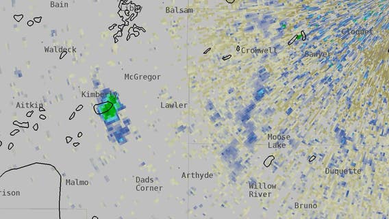 Flock of 600,000 ducks appears on National Weather Service radar near Duluth