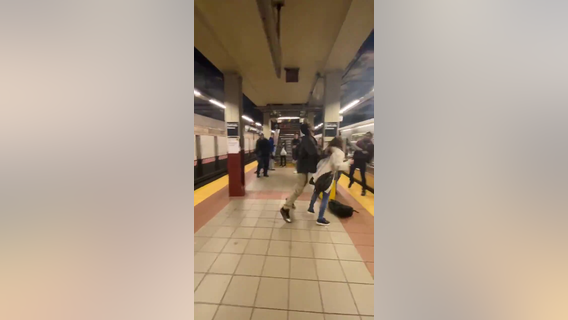 NYPD: Serial subway offender arrested for shoving woman into subway car