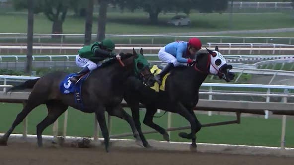 Horse dies during training at Santa Anita, just days before opening day
