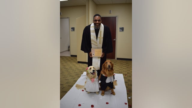 Wedding held for therapy dogs at North Texas hospital